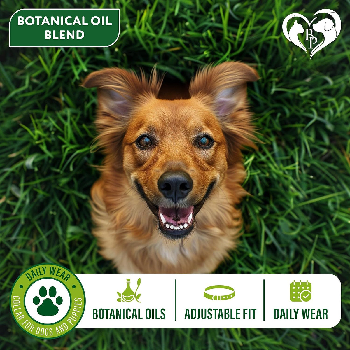 Adjustable design of Beloved Pets waterproof dog collar