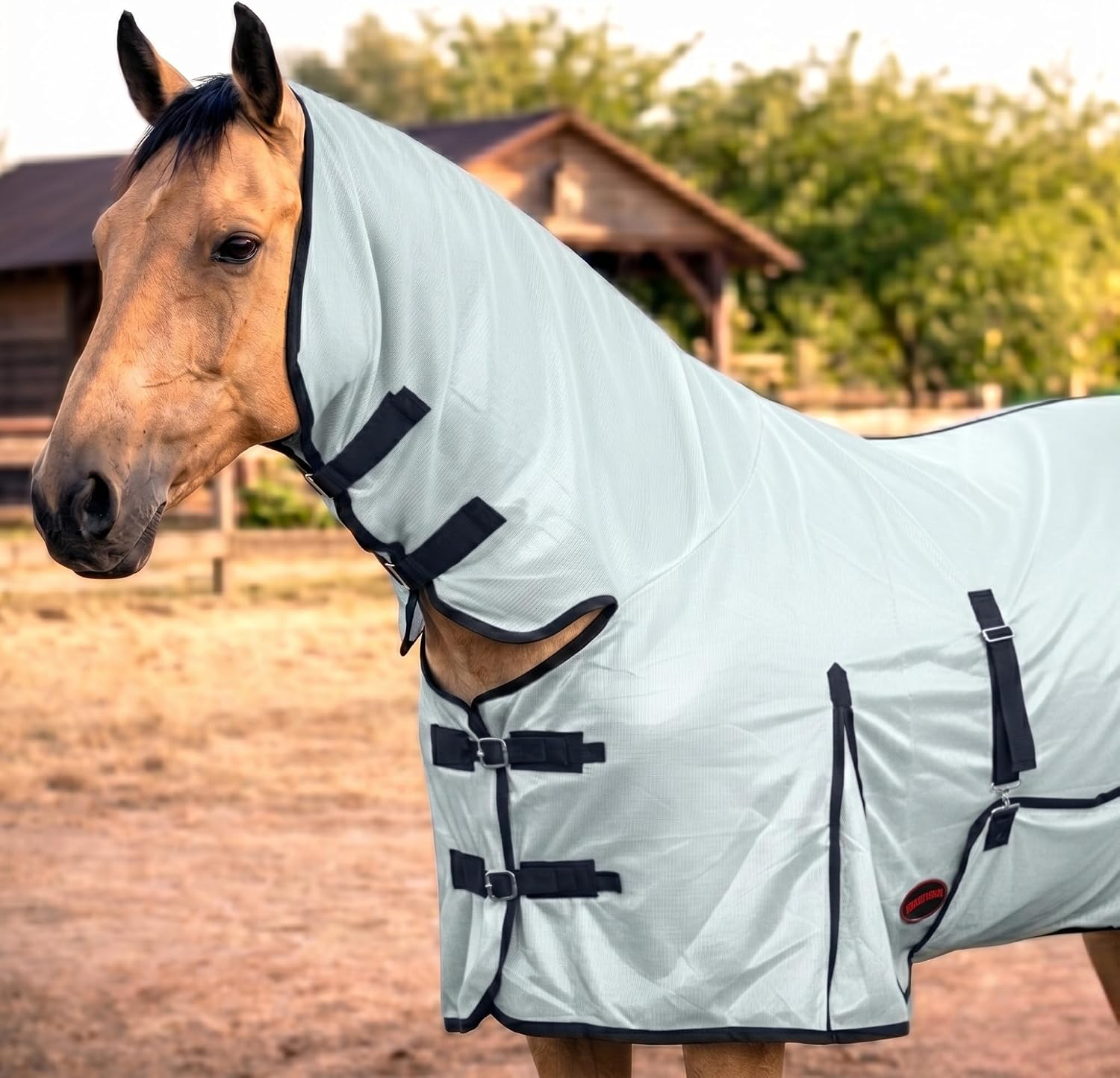 Back view of 80 inch horse fly rug covering pasture turnout