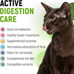 Golden Paw pet probiotic liquid dropper application demonstrating easy administration for dogs and cats.