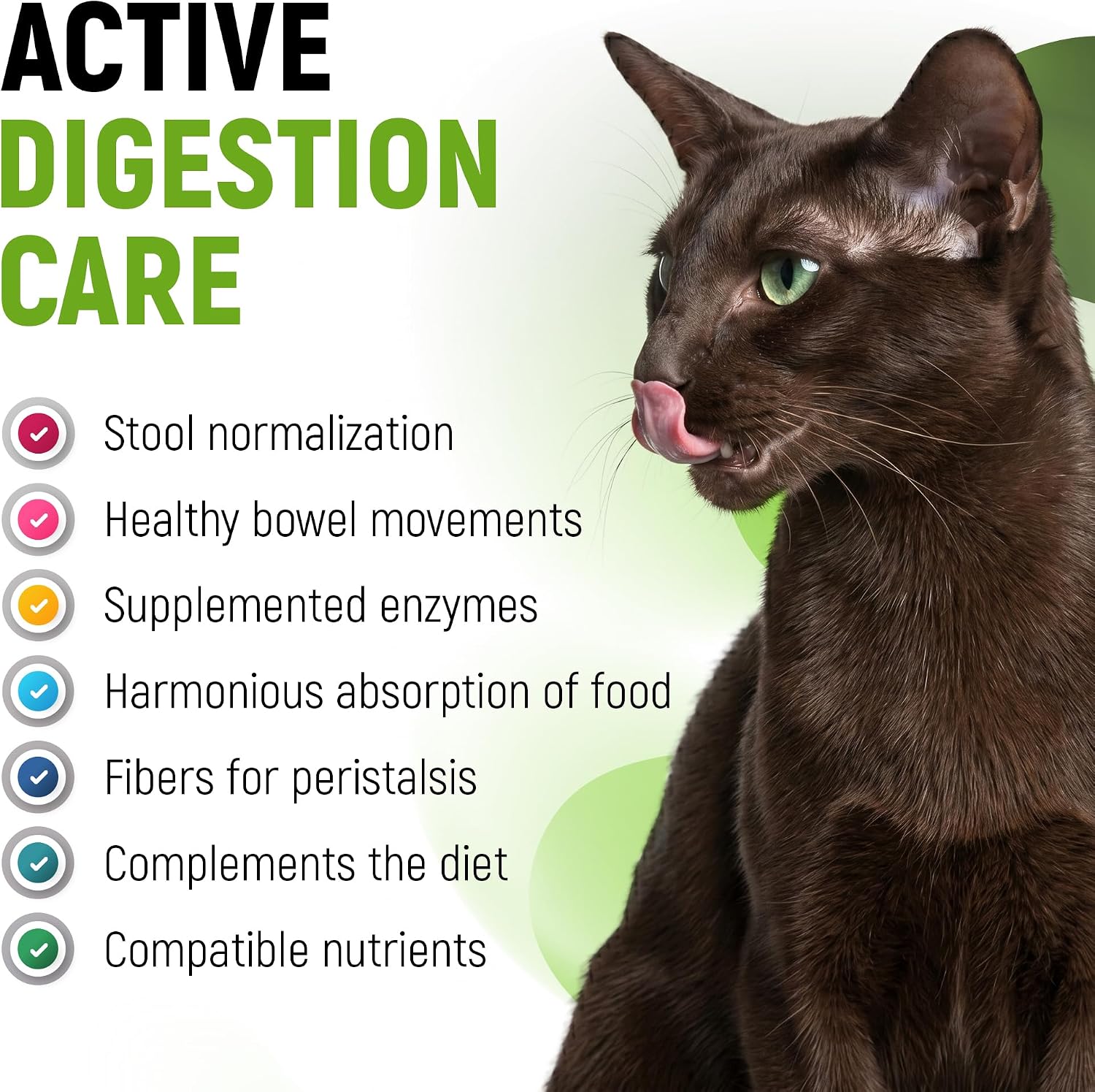Golden Paw pet probiotic liquid dropper application demonstrating easy administration for dogs and cats.