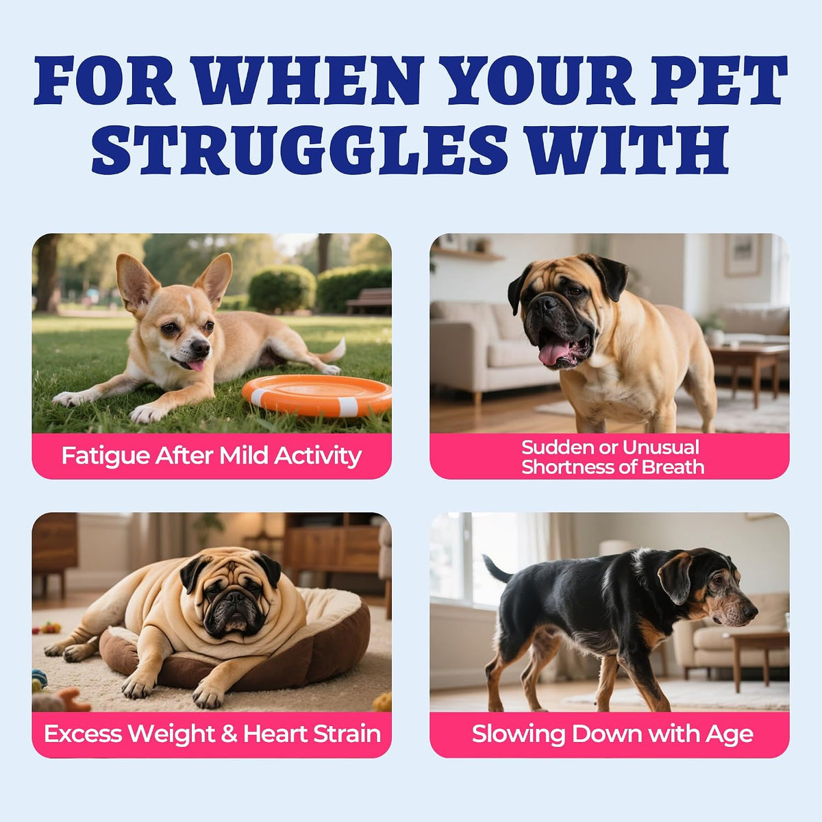 Dog heart health supplement with taurine and coenzyme Q10