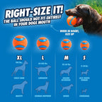 Chuckit! Rugged Ball with dental cleaning ridges
