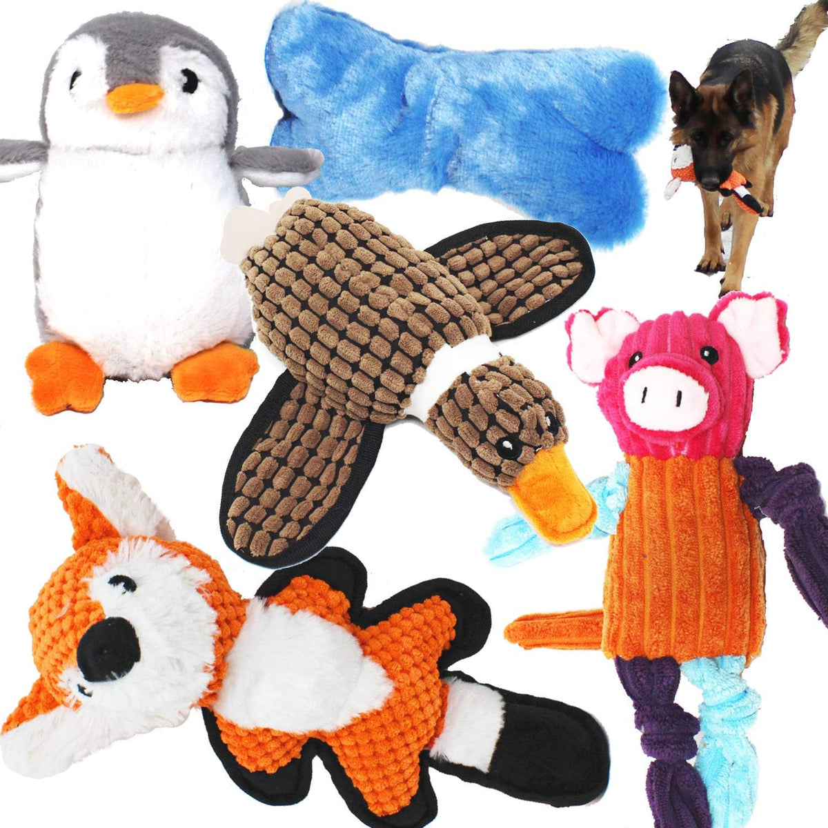 Jalousie 5 pack dog squeaky toys assortment front view