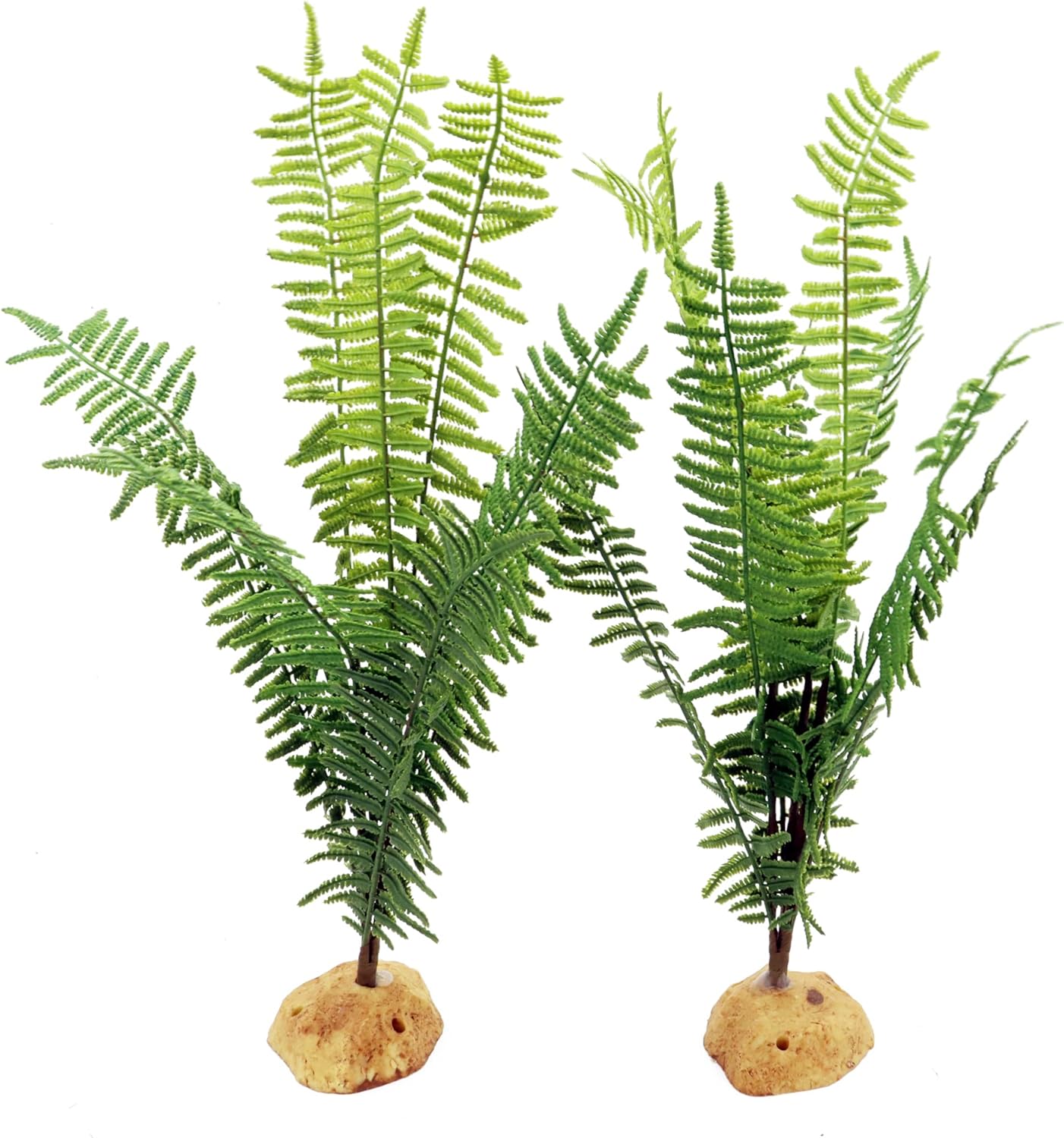 JIHAQUA fern plant with resin base for terrarium setup