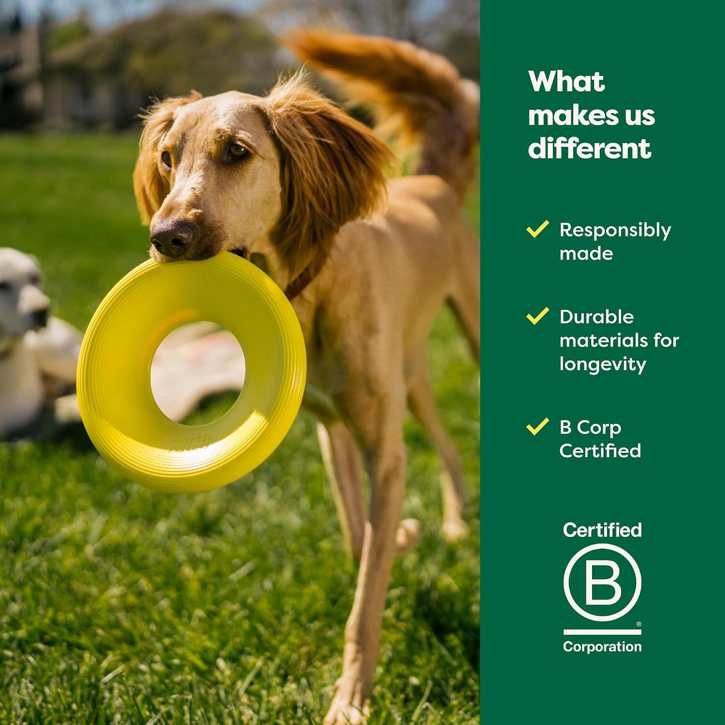 Dog owner holding Earth Rated flying disc toy