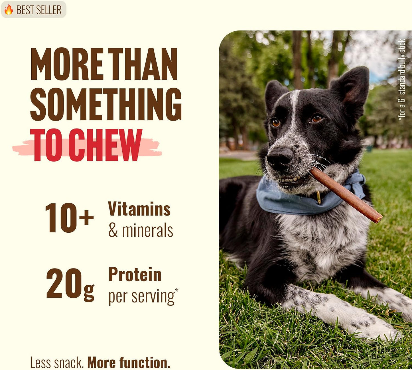 Odor free premium beef collagen sticks for medium and large dogs