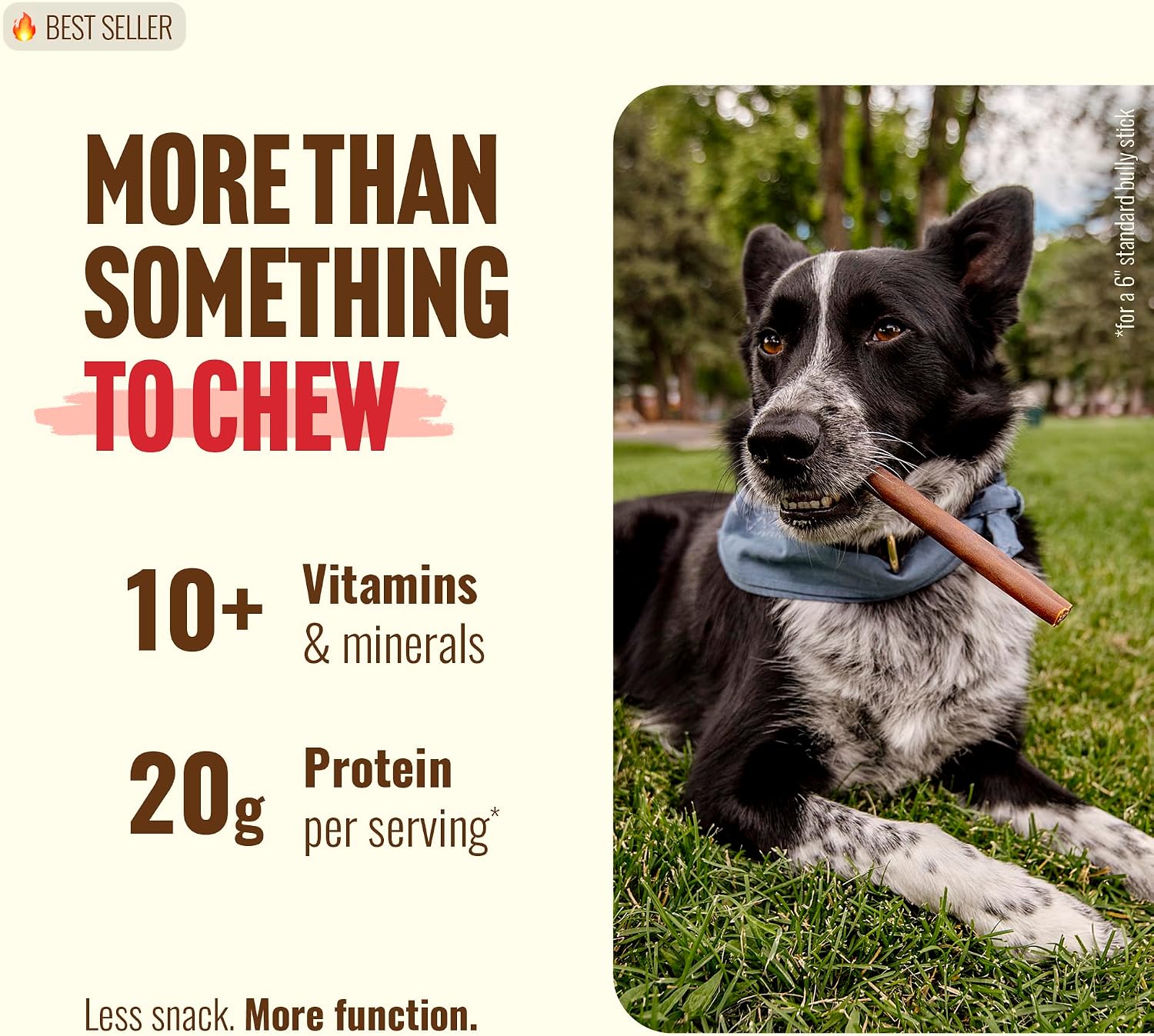 Odor free premium beef collagen sticks for medium and large dogs