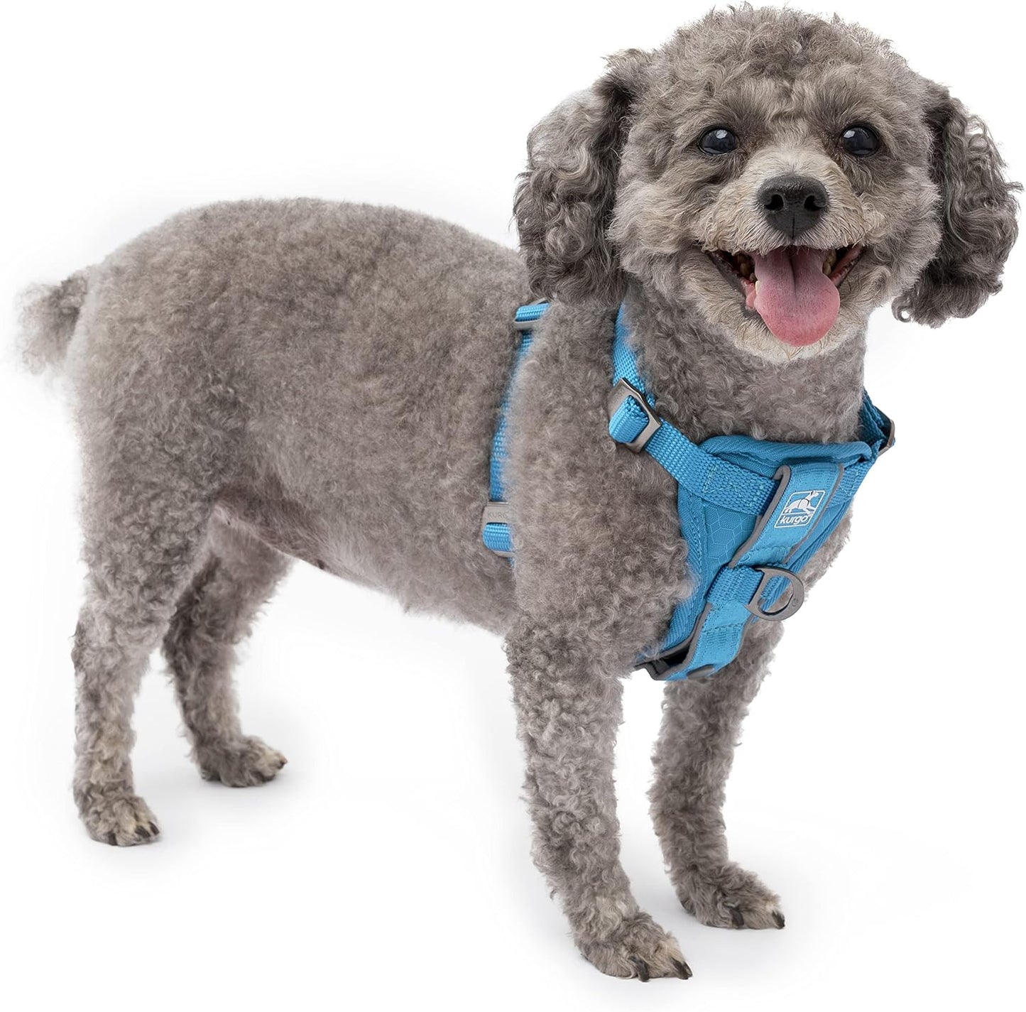 Kurgo Tru-Fit Smart Dog Walking Harness - Comfortable Fit - Adjustable Harness - Reflective Pet Wear - Quick Strap Release - Daily Walk Accessory - Includes Seat Belt Loop - Black - Large - Image 9