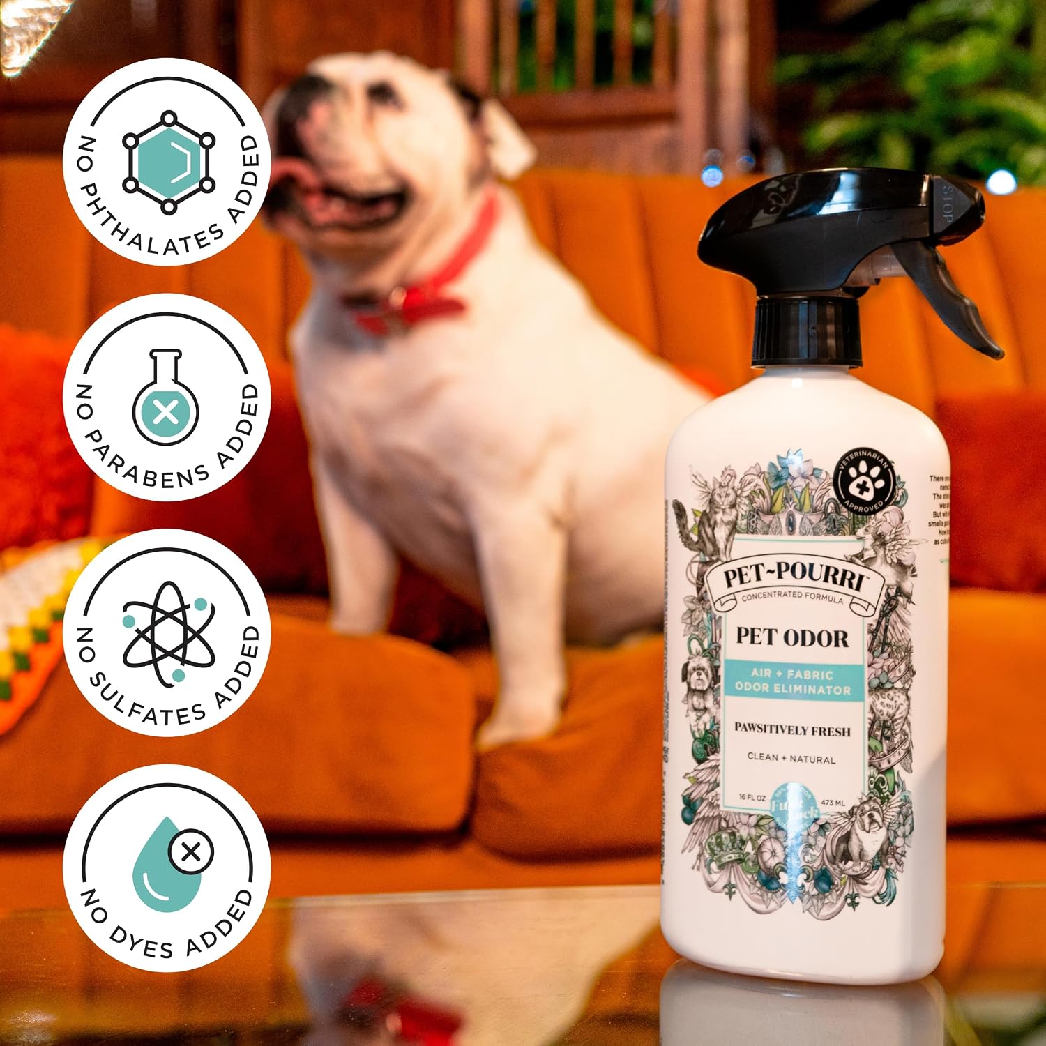 Pet-Pourri Pawsitively Fresh Pet Odor Deodorizer Spray, 16 Fl Oz, Up to 800 Uses, Air + Fabric Odor Remover with Essential Oils & Plant Based Ingredients, Vet Recommended, Pineapple, Jasmine & Pear - Image 9