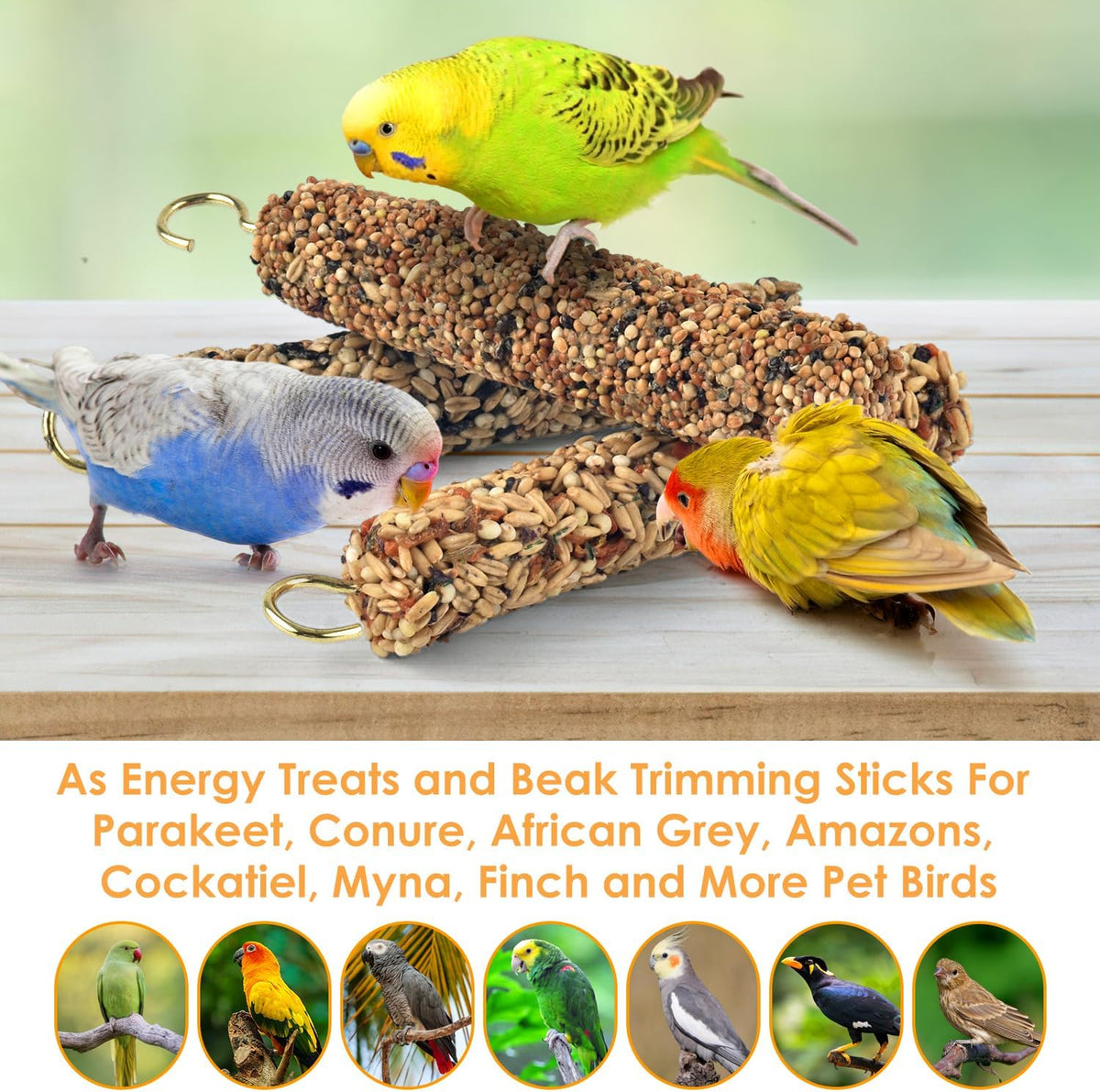 Small parrot enjoying Katumo healthy foraging crunch treat