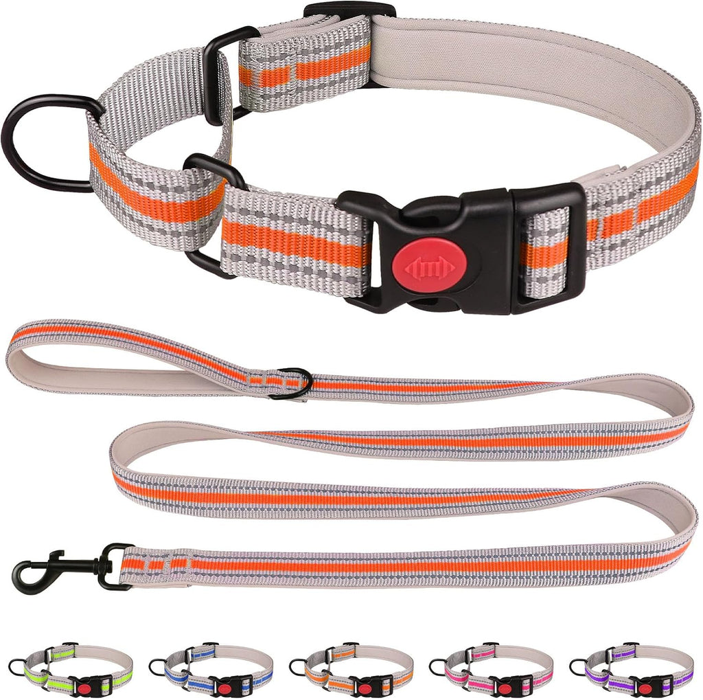 Adjustable hotpink dog collar with comfortable neoprene lining for daily walks
