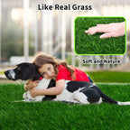 Dog using indoor artificial grass potty pad in apartment
