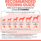 Chew + Heal Labs wild salmon oil for pets joint support liquid formula bottle.