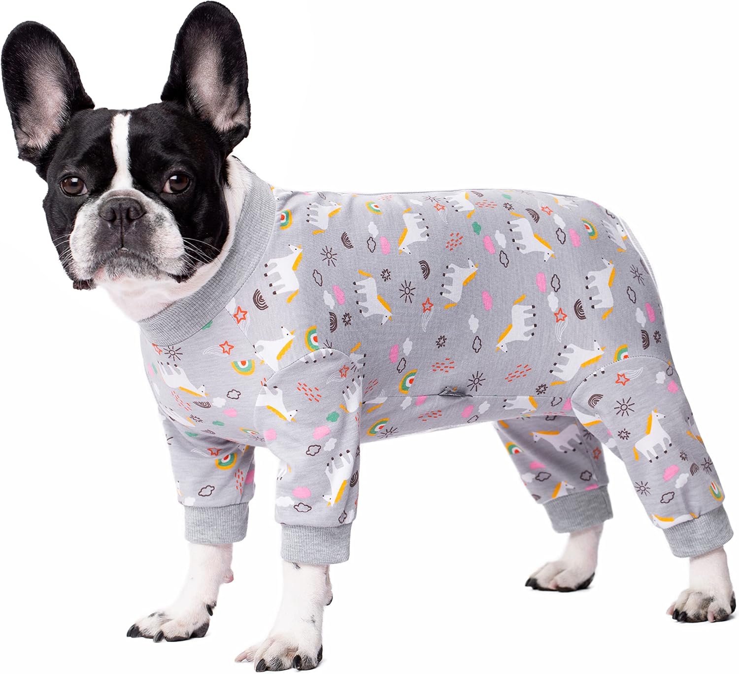 Dog Surgery Recovery Suit, Dog Onesie for Surgery Female Male Dogs, Dogs Pajamas Long Sleeve, Small Dogs Onesie, Abdominal Wound Bandages Surgical Suit, Cat Recovery Suit for Shedding Skin Disease - Image 15