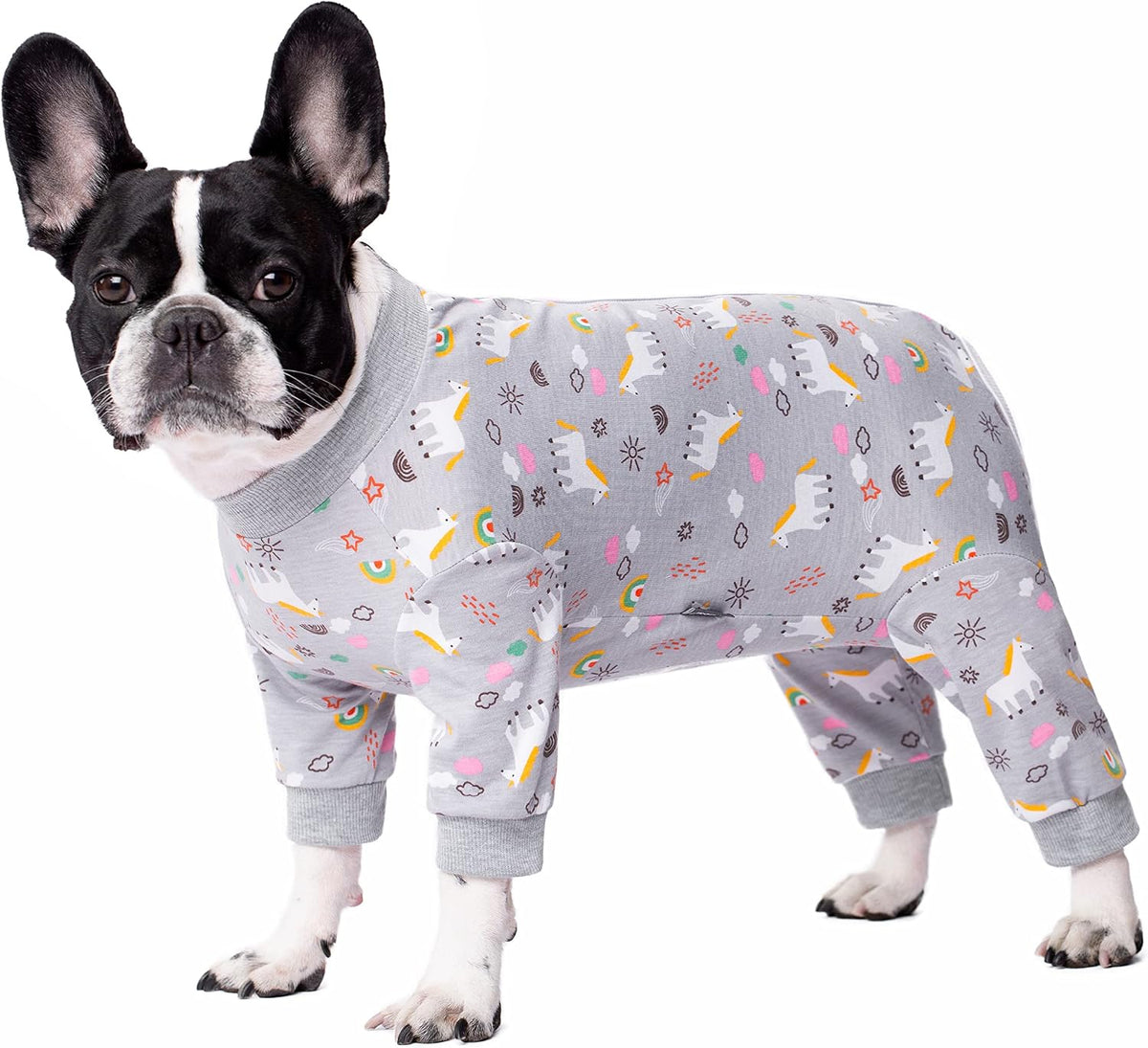 Dog Surgery Recovery Suit, Dog Onesie for Surgery Female Male Dogs, Dogs Pajamas Long Sleeve, Small Dogs Onesie, Abdominal Wound Bandages Surgical Suit, Cat Recovery Suit for Shedding Skin Disease - Image 15