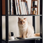 Kasa 1080p Indoor Pan/Tilt Wired Security Camera - Works as a Baby & Pet Monitor, Motion Detection & Tracking, 2-Way Audio, Night Vision, Subscription-Free Local Storage or Optional Cloud, EC70 - Image 5