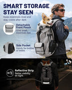 Adjustable buckles and security straps for pet safety