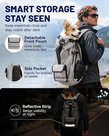 Adjustable buckles and security straps for pet safety