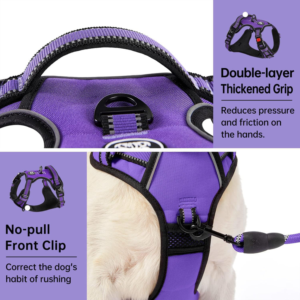 Ivy And Lane dog harness with included leash and seatbelt