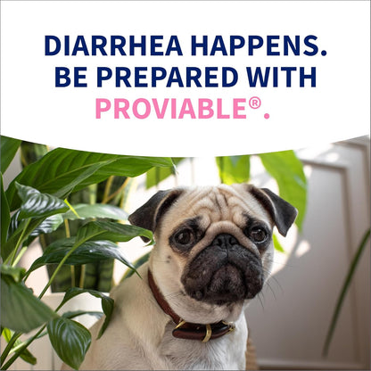 Nutramax Proviable Probiotics for Small Dogs and Cats, Diarrhea Support Kit, Digestive Health Supplement with Multiple Strains of Bacteria, Plus Prebiotics, Kaolin and Pectin, 15 ml Paste and 10 Capsules - Image 12