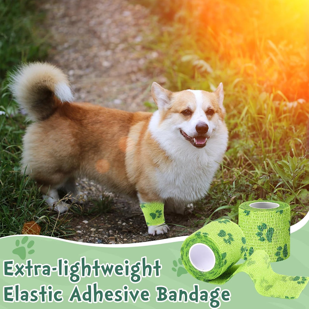 Application of non-woven cohesive pet bandage