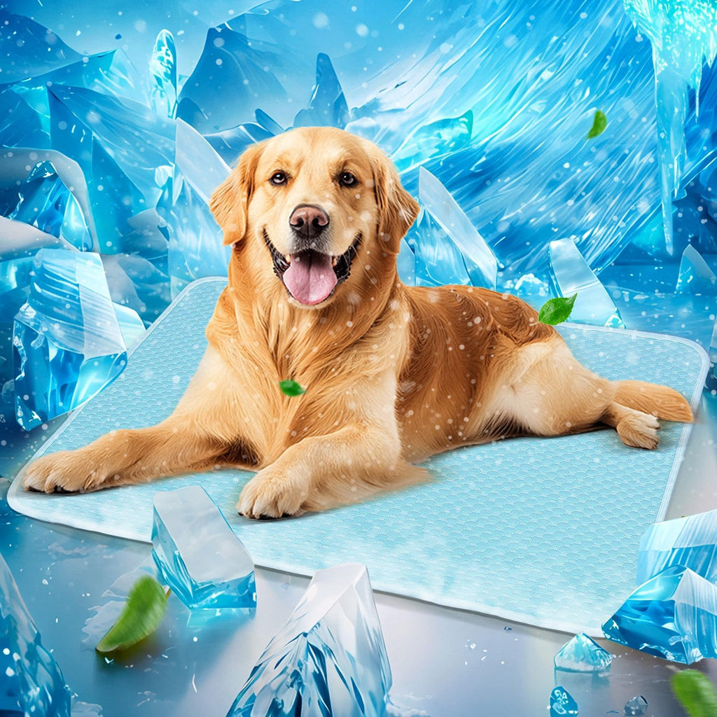 Mora Pets dog cooling mat front view showcasing the light blue breathable surface.