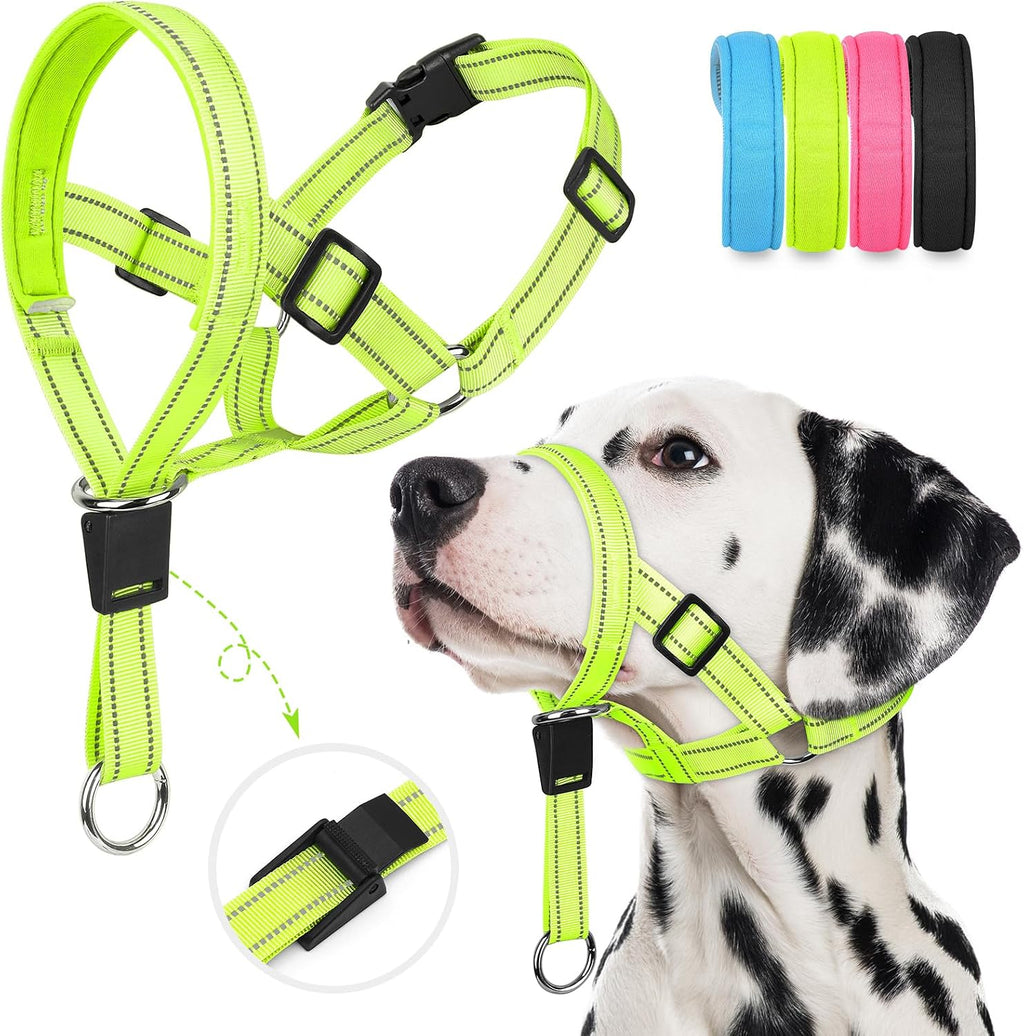 Weesiber soft dog head collar green medium size front view on trained dog