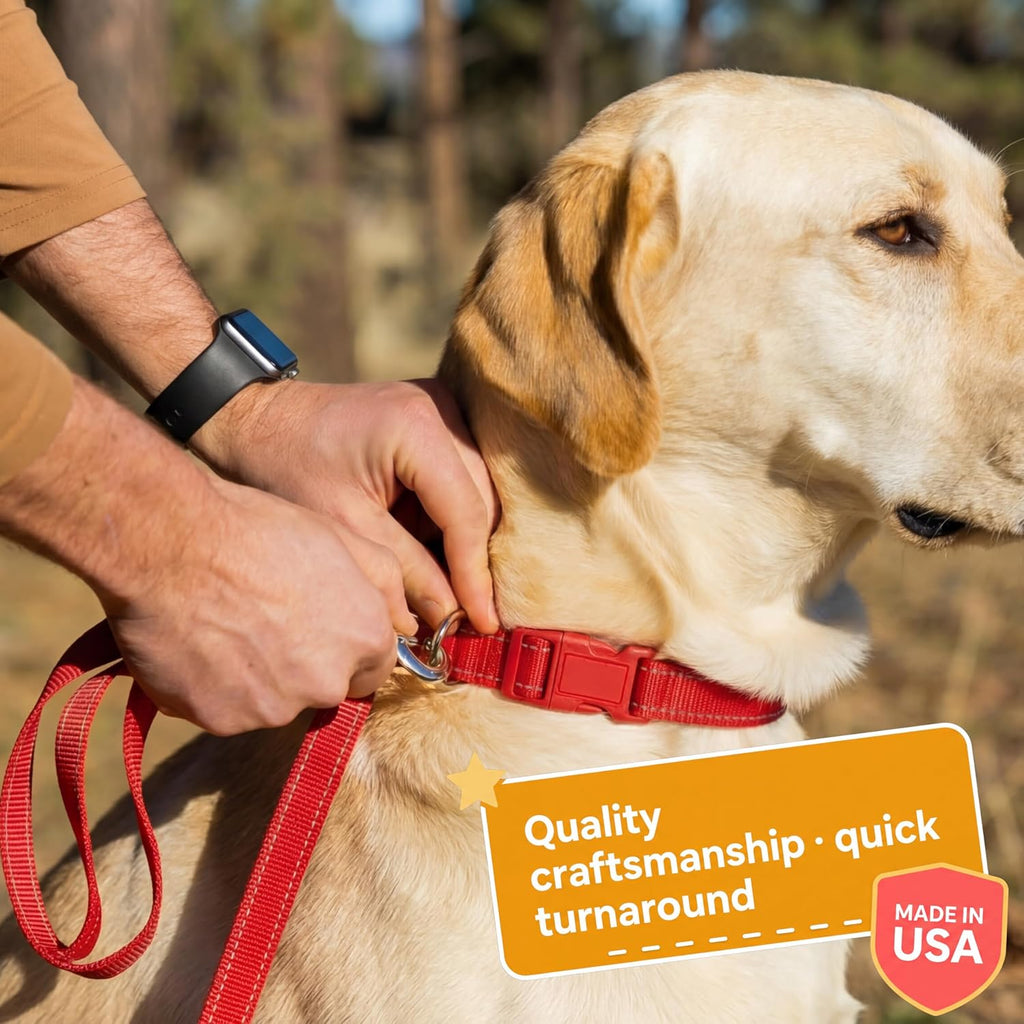 Customized dog collar showing phone number and name