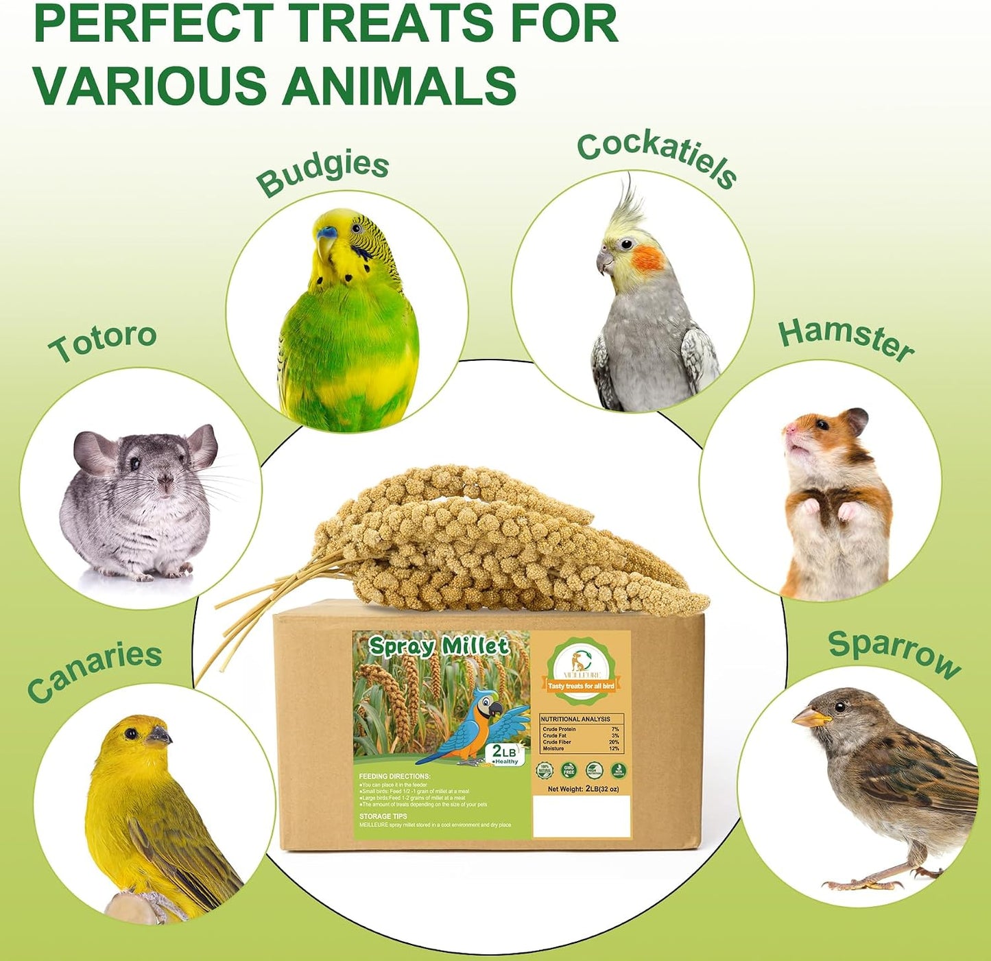 Educational graphic showing nutritional benefits of millet for birds
