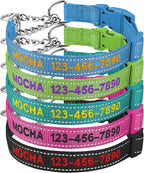 Personalized Martingale Dog Collar-Reflective Martingale Collars with Buckle, Custom Training Martingale Dog Collars Embroidered with Name and Phone Number for Small Medium Large Dogs - Image 9
