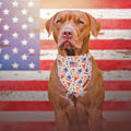 Patriotic dog scarf with ice cream and hamburger flag patterns