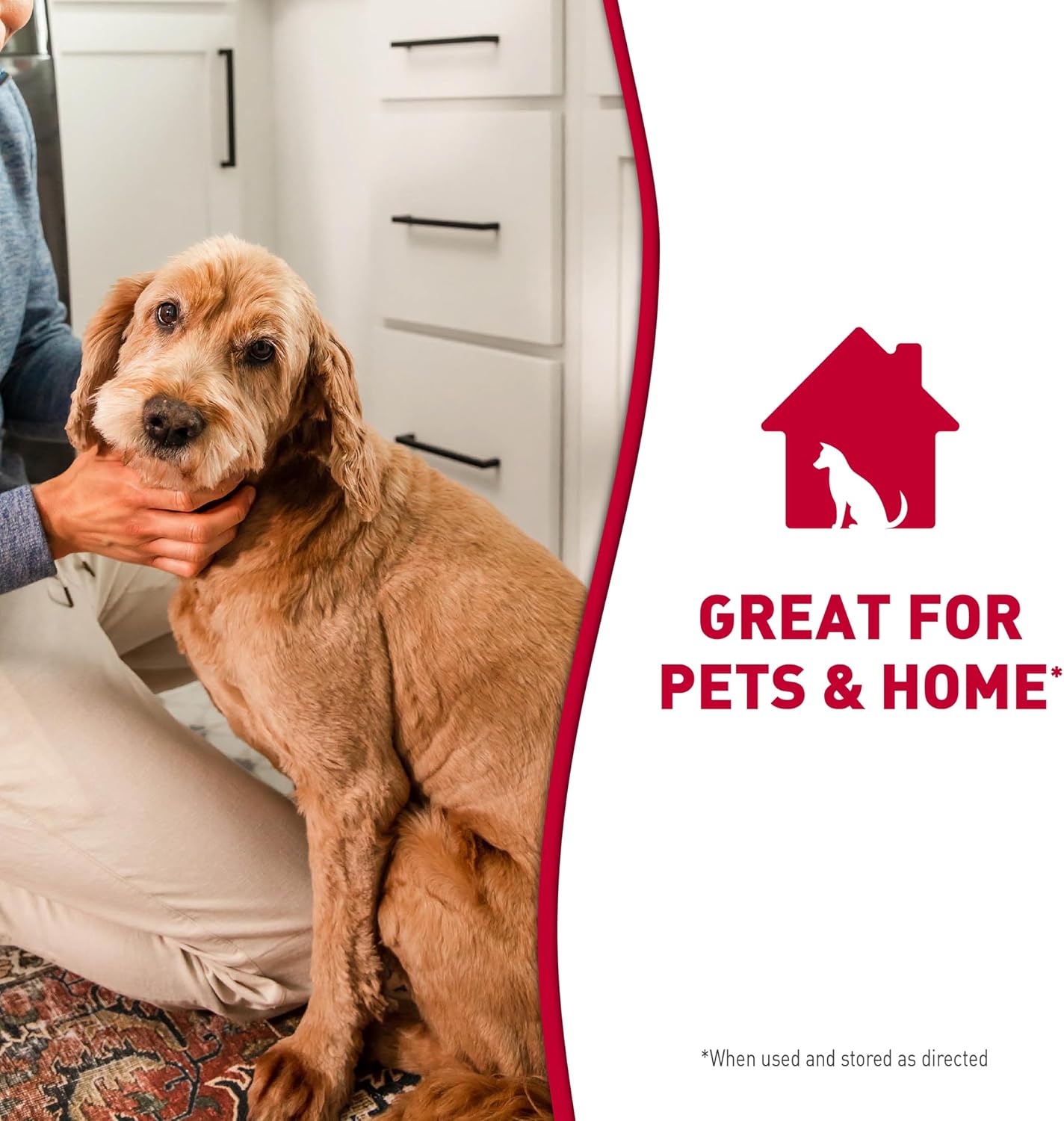 Professional grade pet mess remover for dog owners