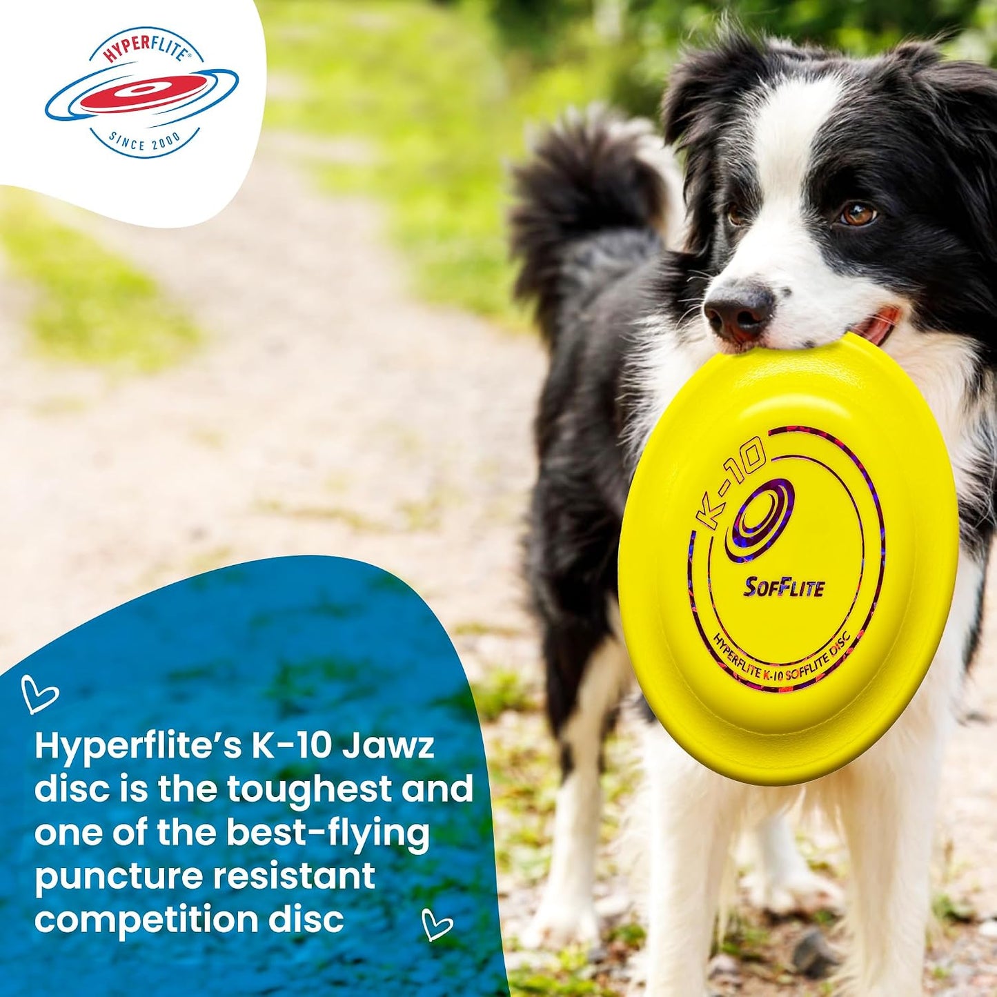 Hyperflite K-10 SofFlite Soft Dog Flying Disc, 2 Pack, Medium-Large | Ultra Soft, Competition Approved, 2 Pack | 8.75-inch, 150g | Medium & Large Dogs | Yellow - Image 9