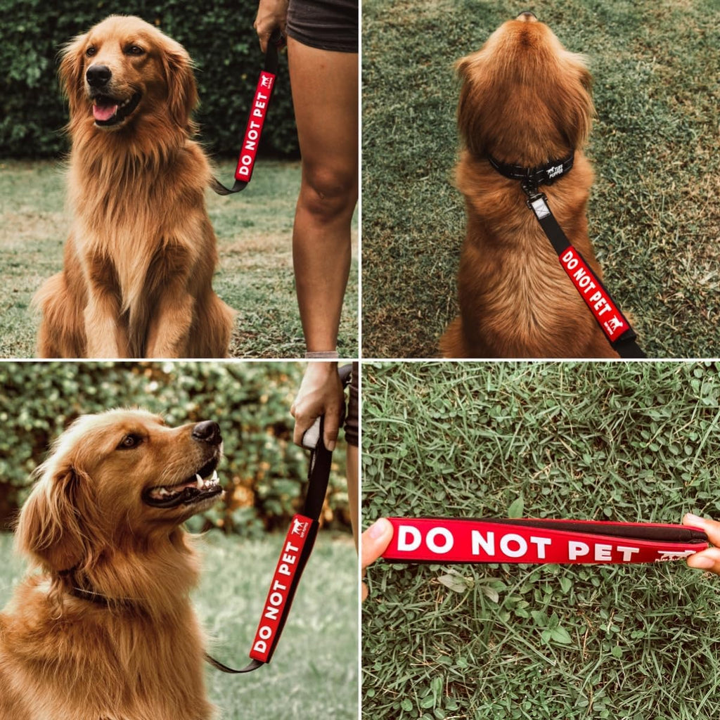 Odor proof and stink proof puppy training leash sleeve handle