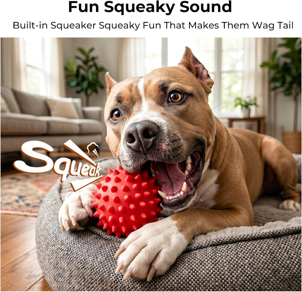 Large dog chewing on Apasiri tough rubber ball