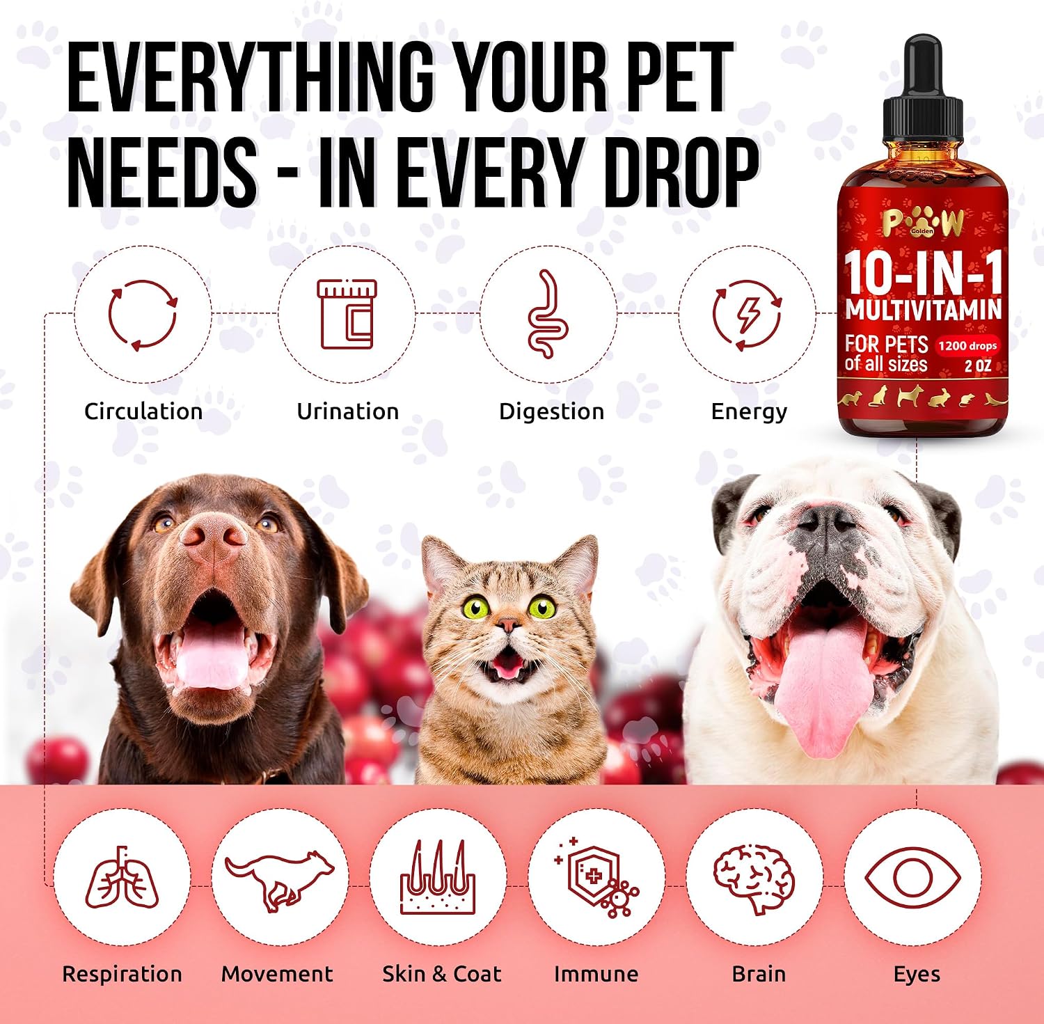 Back label of Golden Paw pet vitamin with ingredient list
