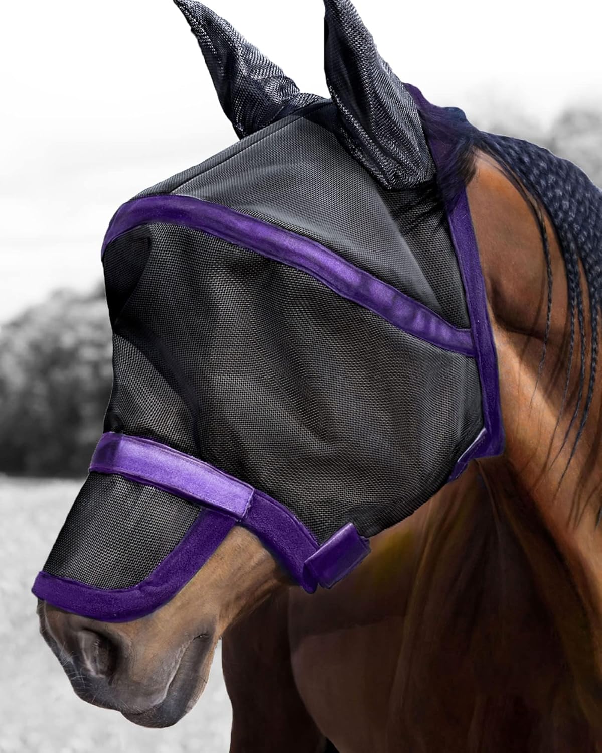 Harrison Howard Maskology Supreme fly mask front view