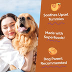 Fruitables Pumpkin Digestive Supplement vet developed label
