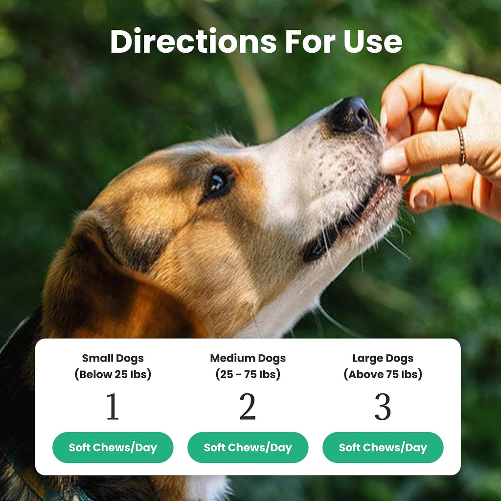 Dog health supplement chews for immune support and shiny skin coat.