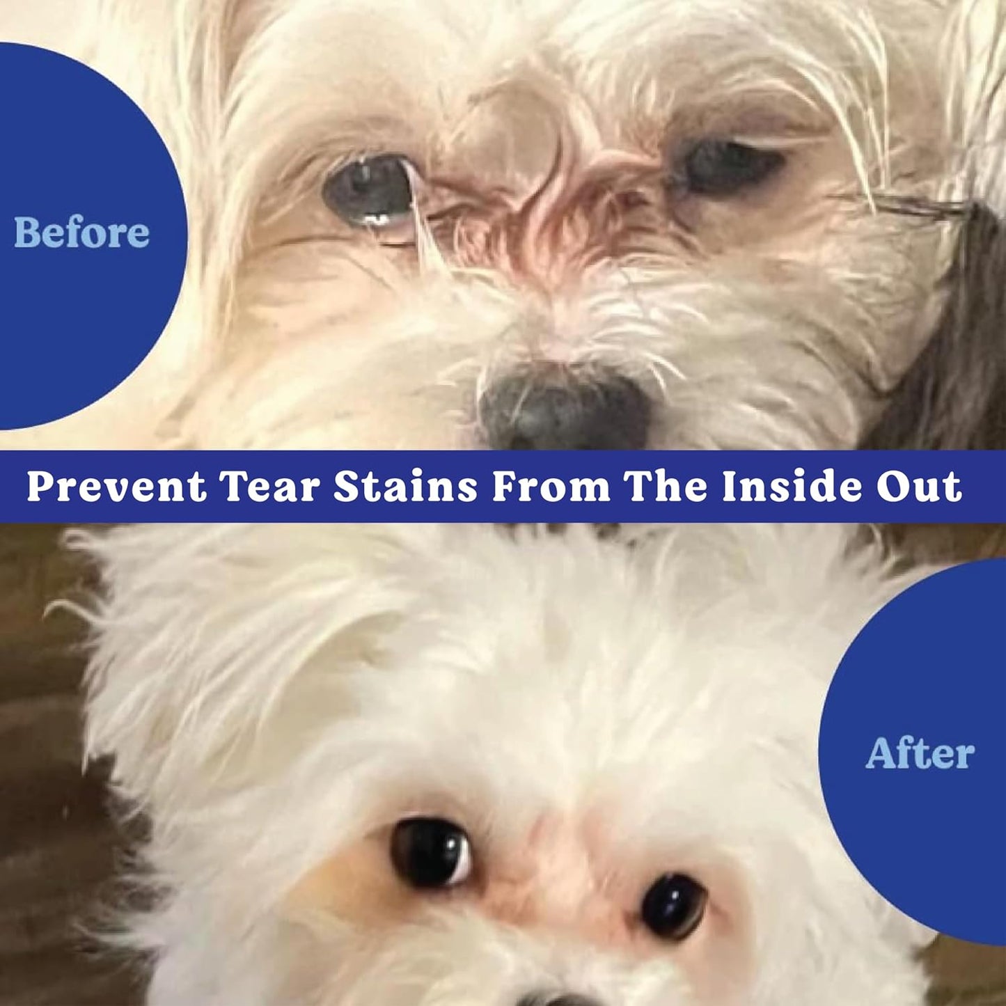 Angels' Eyes chicken flavor daily supplement for dog tear stains