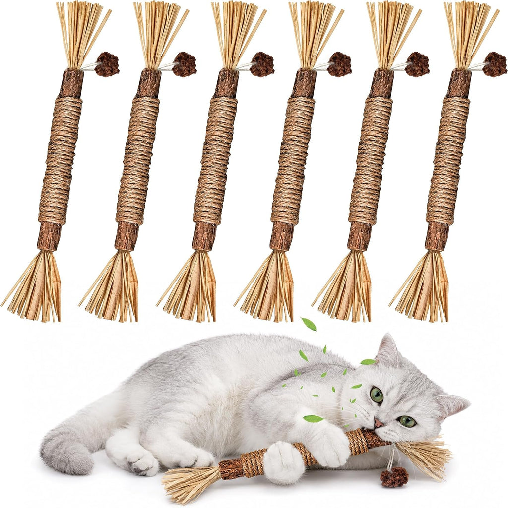 GBSYU Silvervine Sticks Cat Kitten Chew Toys for Indoor Cats Teeth Cleaning - Image 1