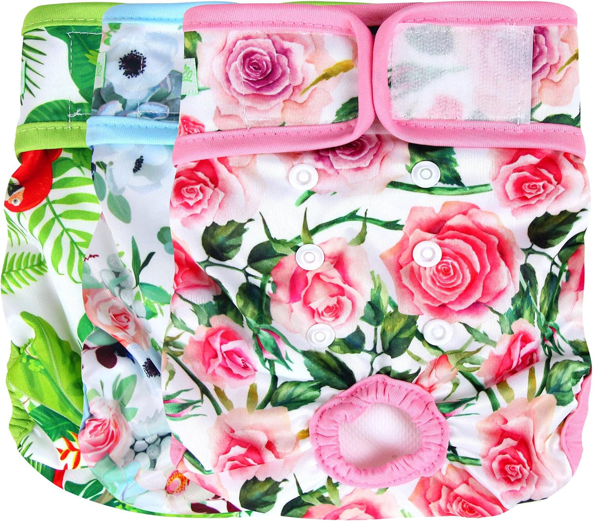 Back view of the Wegreeco washable dog nappy showing the elasticized tail opening designed for female pets.