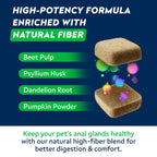 STRELLALAB dog digestive health supplement with natural beet pulp and dandelion root