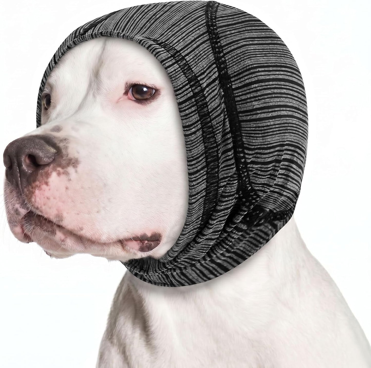 KOESON padded dog calming hoodie front view on a medium breed dog