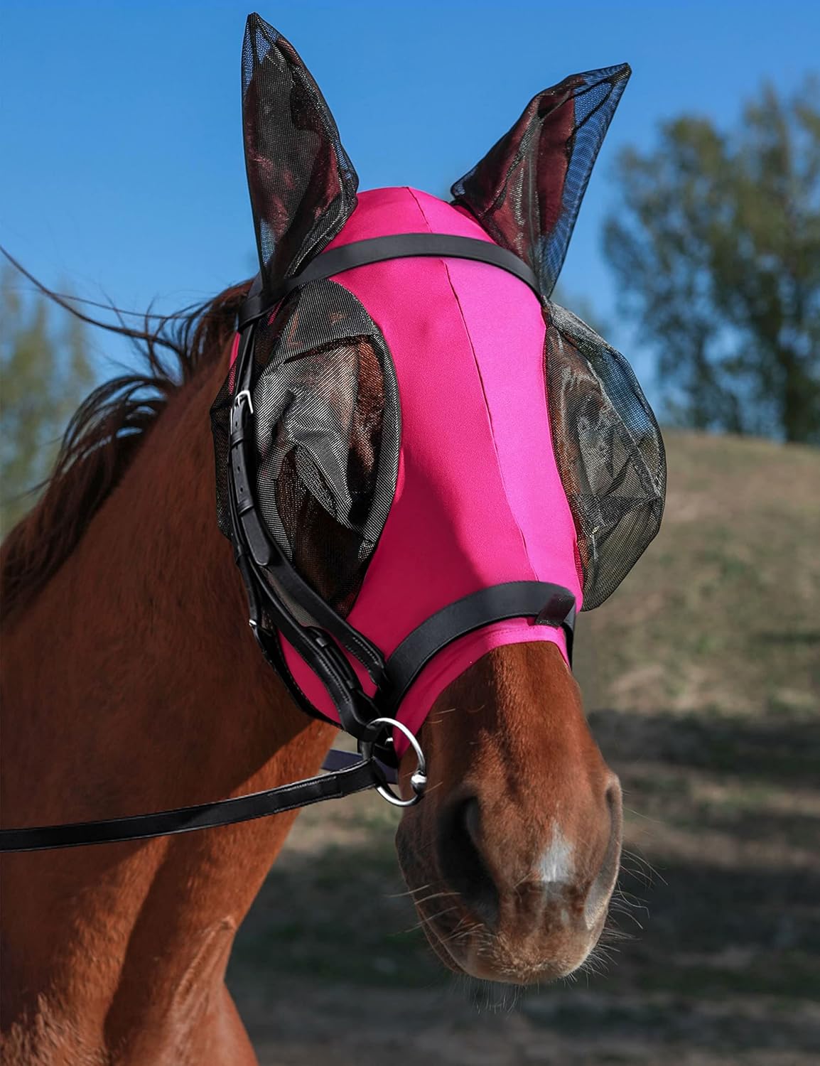 HackFond equine face cover showing snug fit design