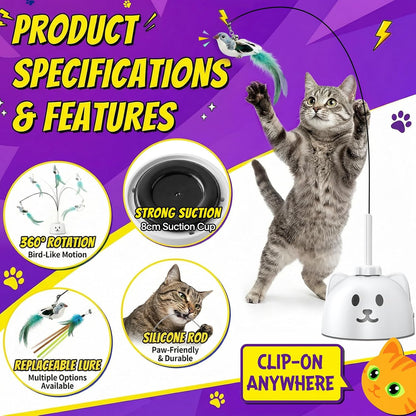 Indoor cat playing with 360 degree rotating feather wand pet toy.