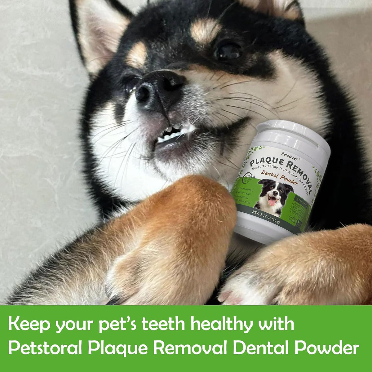 Healthy dog teeth graphic for Petstoral dental care