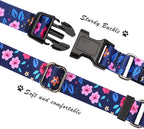 Hikiko no slip pet training collar demonstrating the quick release buckle