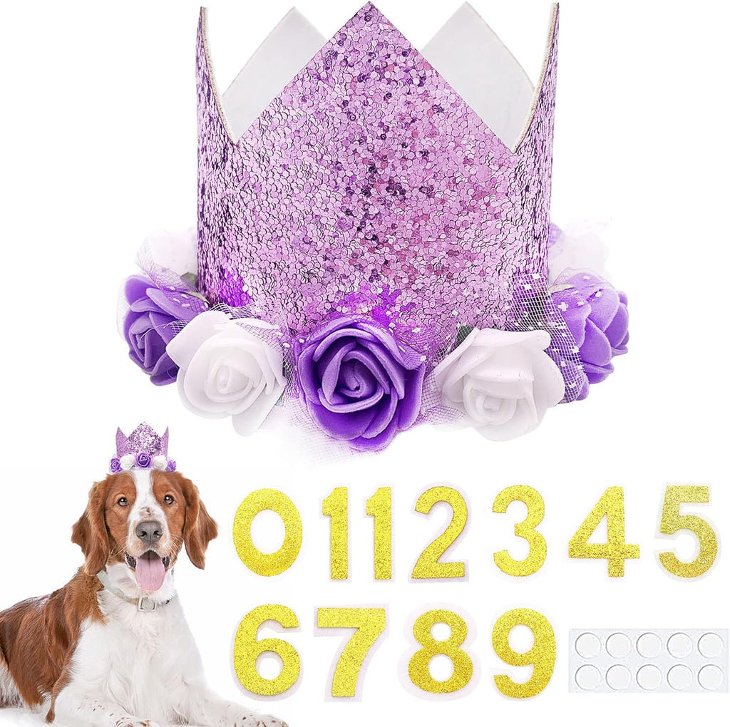 Small dog wearing reusable pink birthday crown