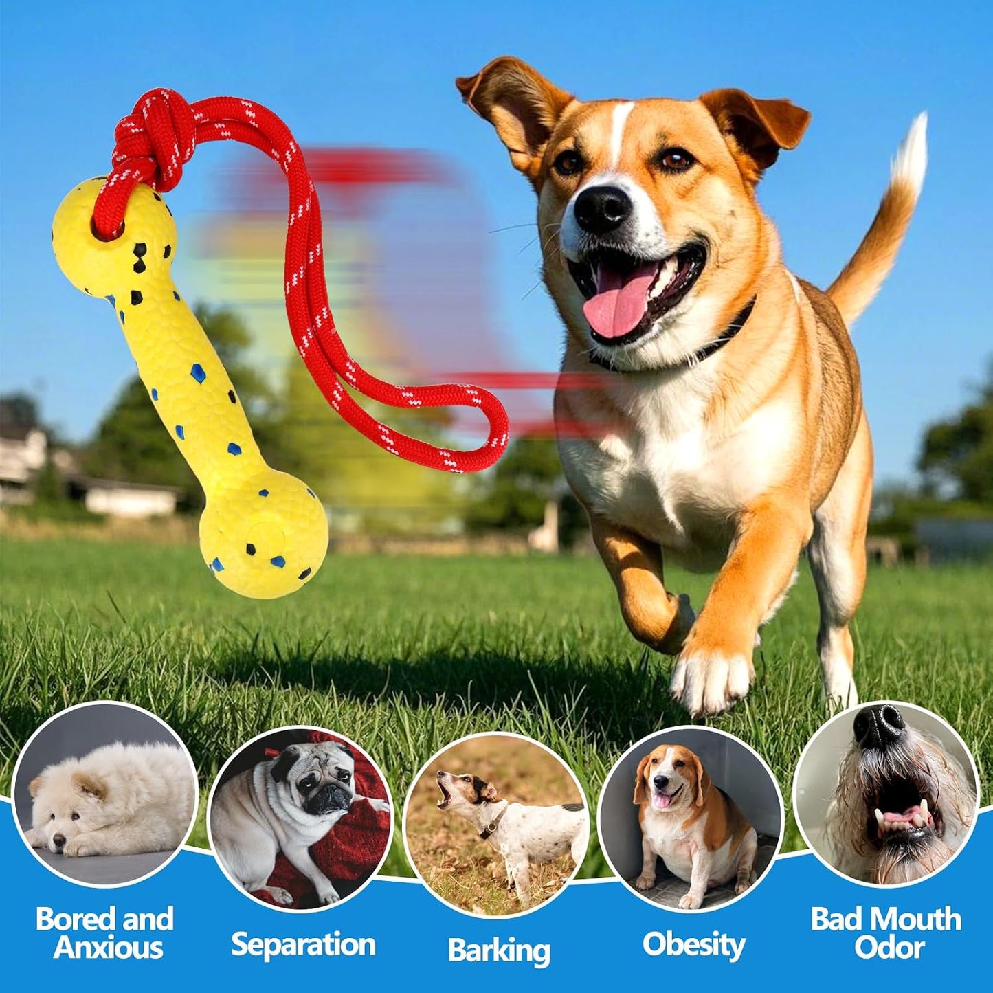 Yellow bumper pet toy floating on water surface highlighting high buoyancy for outdoor summer training